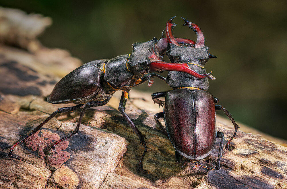 Photograph by Владимир Сковородников