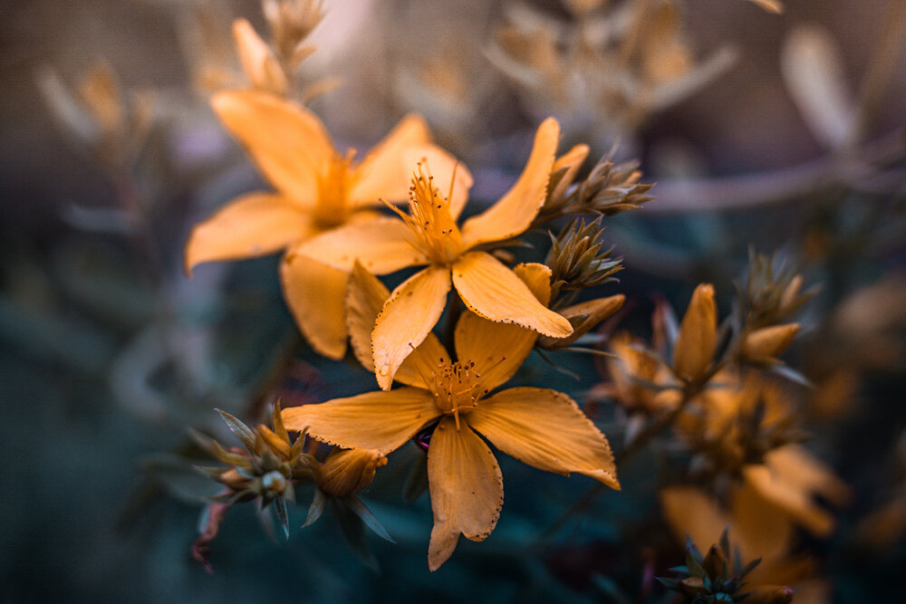 Photograph by Григорова Мария