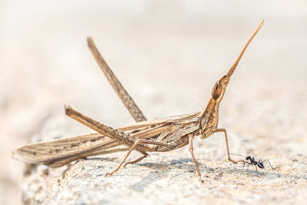 Photograph by mahadevan Arige