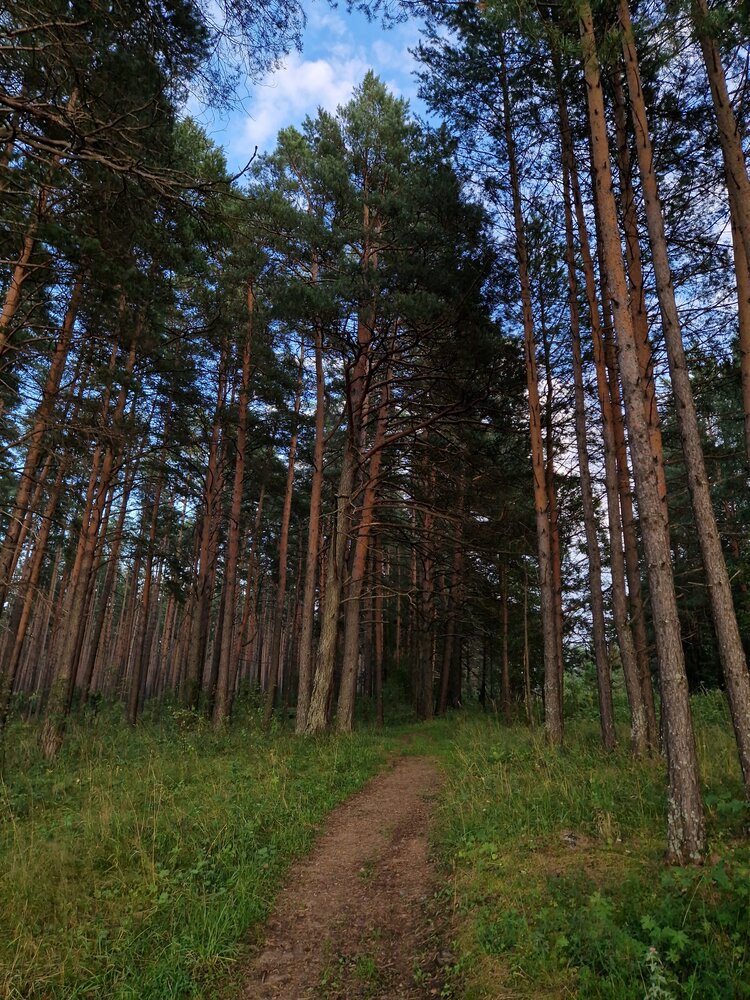 Photograph by Максим Ташкинов