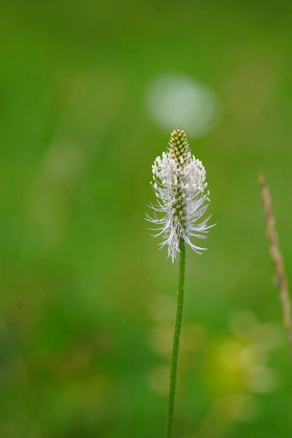 Photo #13894677