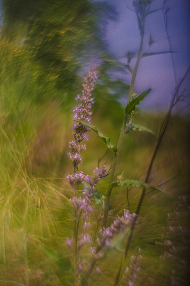 Photograph by Валентина Воробьёва
