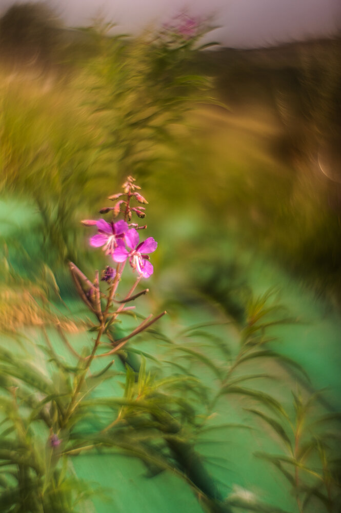 Photograph by Валентина Воробьёва