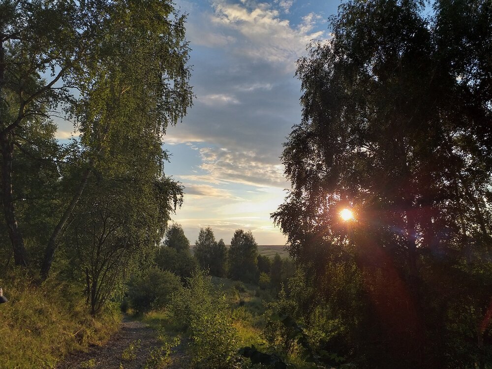 Photograph by Денис Веску
