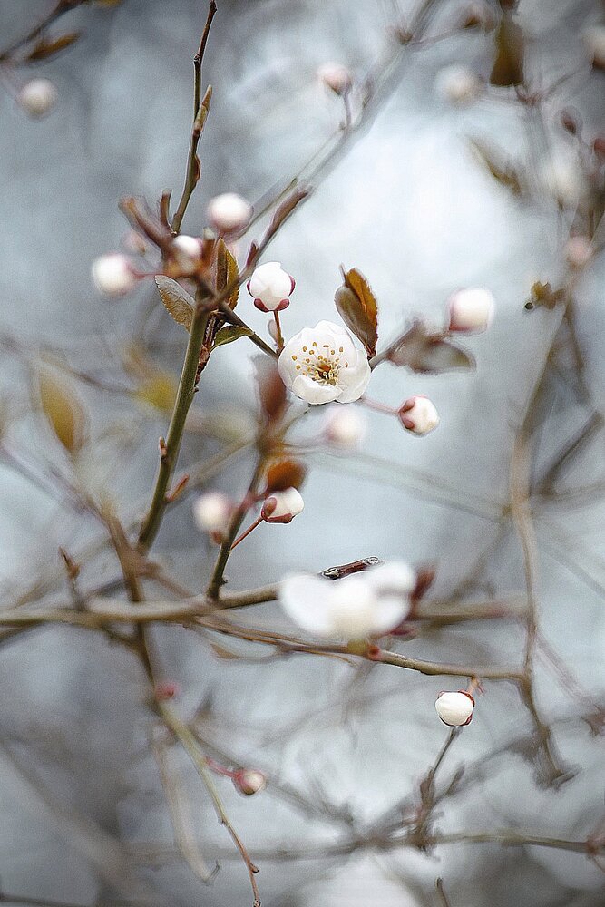 Photograph by Полина Сульженко