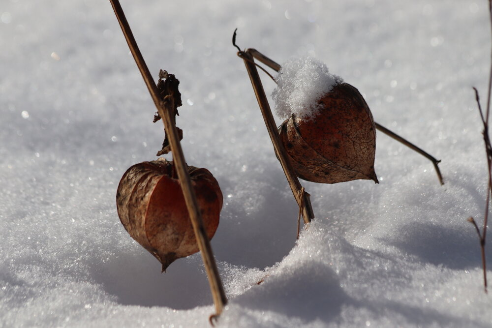 Photograph by Елена Иванкина