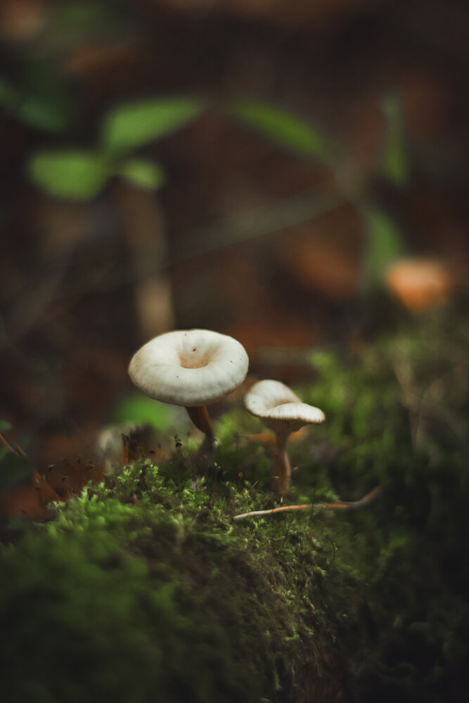 Photograph by Соболева Юлия