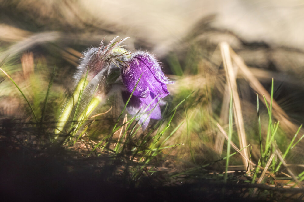 Photograph by Елена Соколова