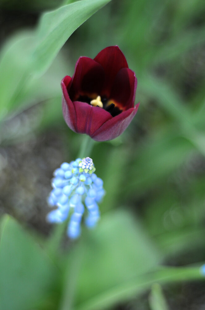 Photograph by Дмитрий Савченко
