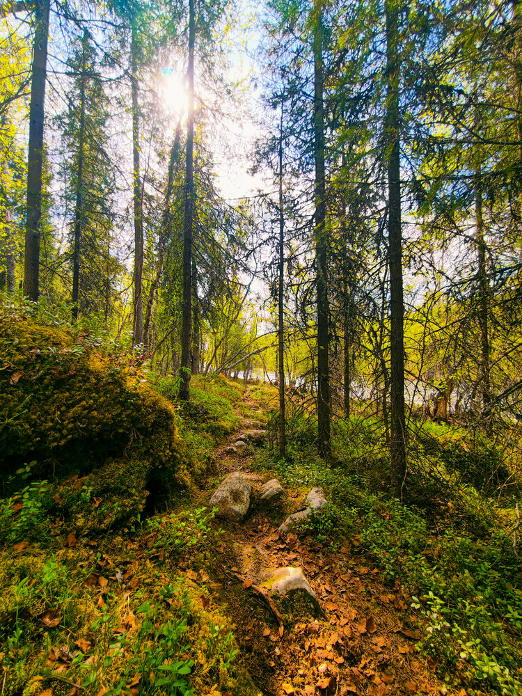 Photograph by Валерий Иванов