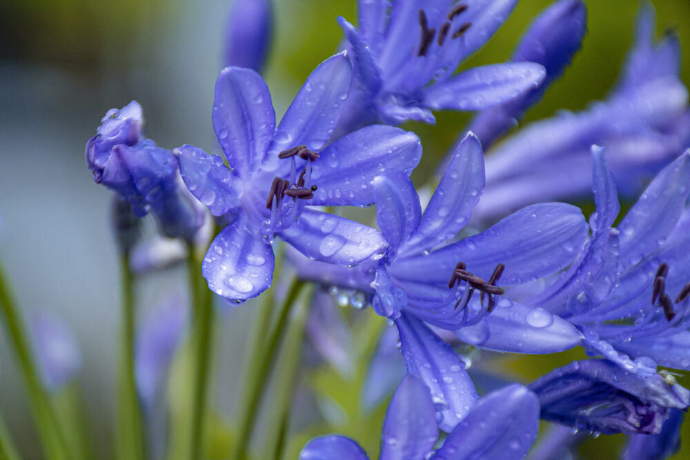 Water Detail in Blue