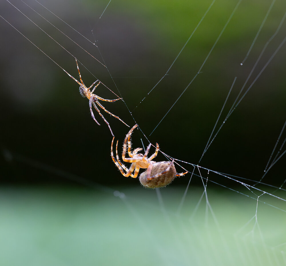 Photograph by Дмитрий Ткаченко