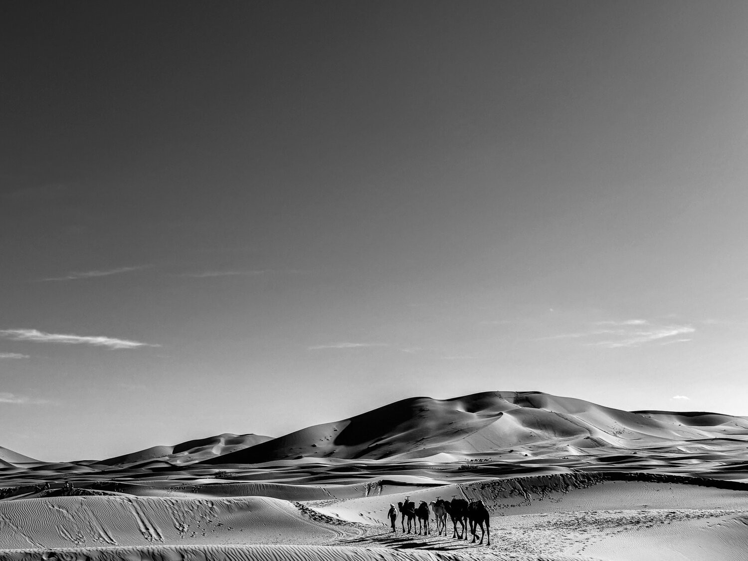 Across the Silence