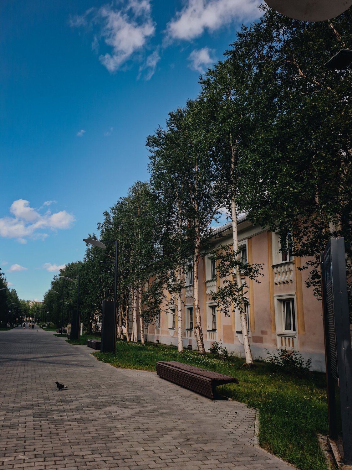 Город Мончегорск