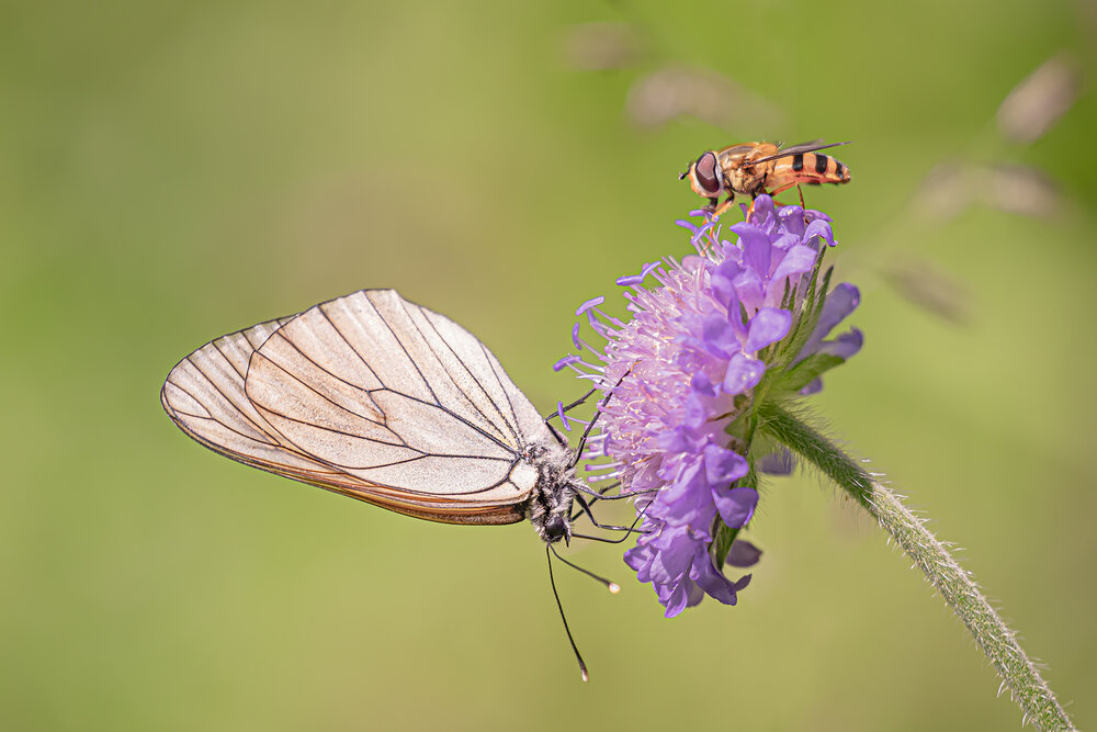 Photograph by Бурикова Екатерина