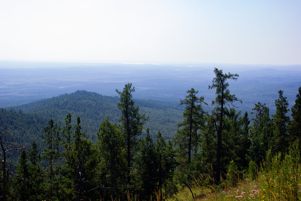 Photograph by Елена Павлова