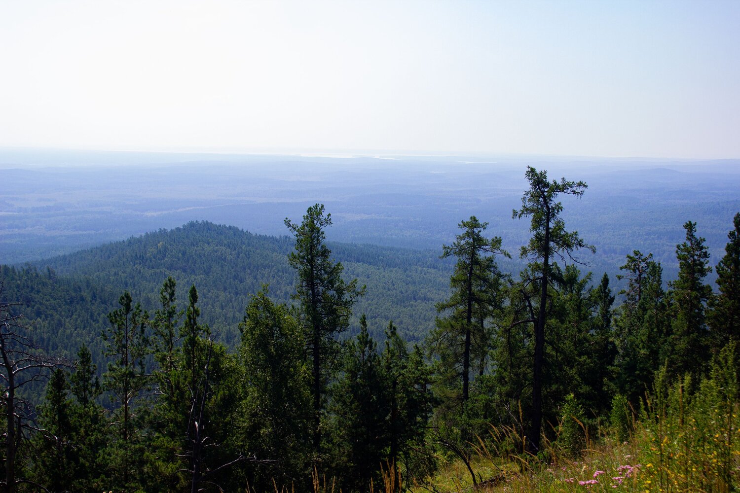 Photo #13894998