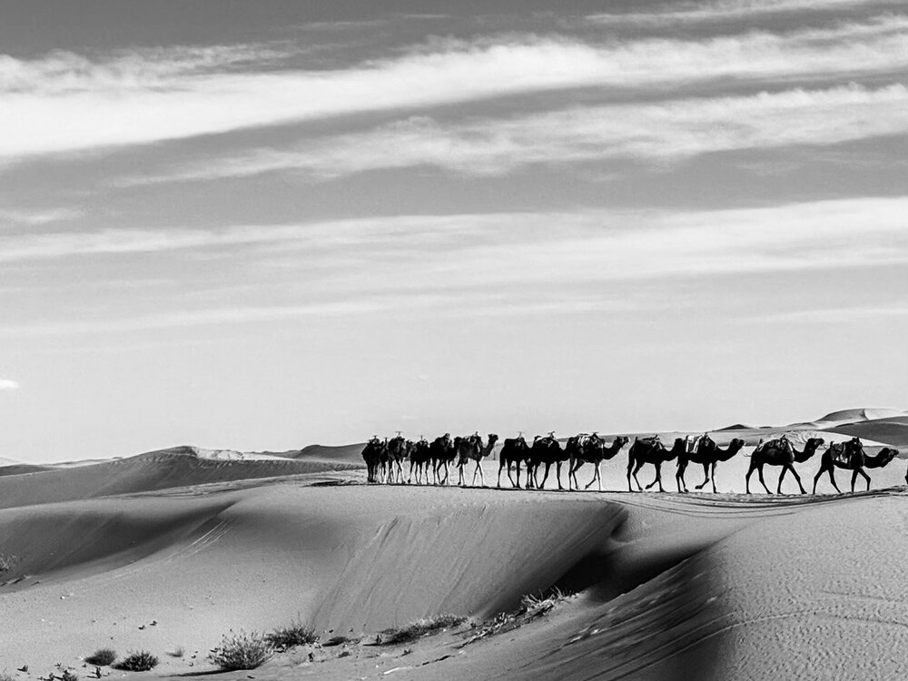 caravan crossing