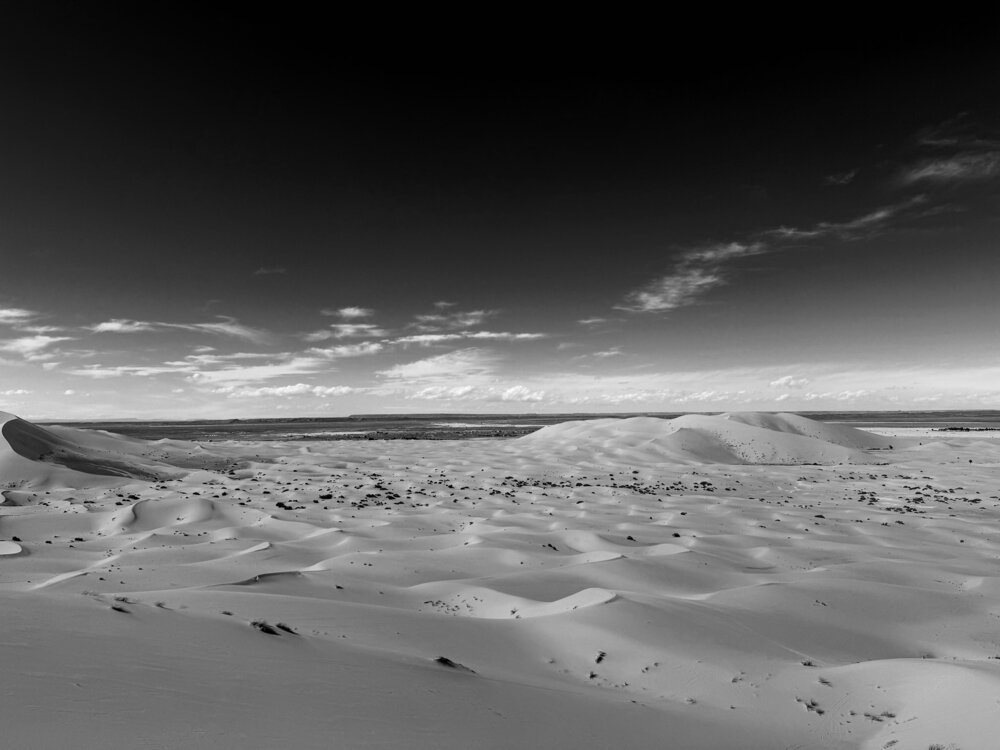 The Last Light of the Sahara