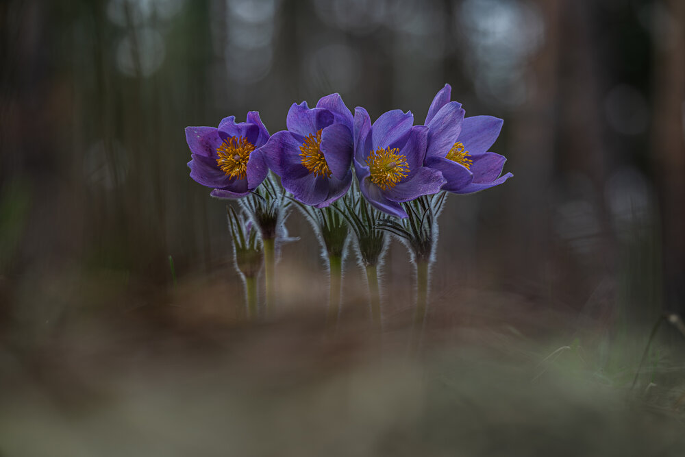 Photograph by Зайцев Роман