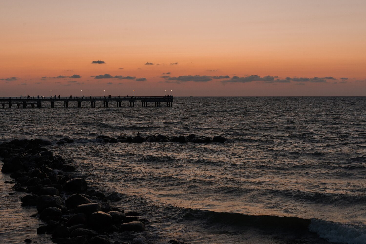 Photo #13895073