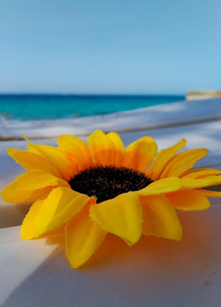 Photograph by Nada Khalifa
