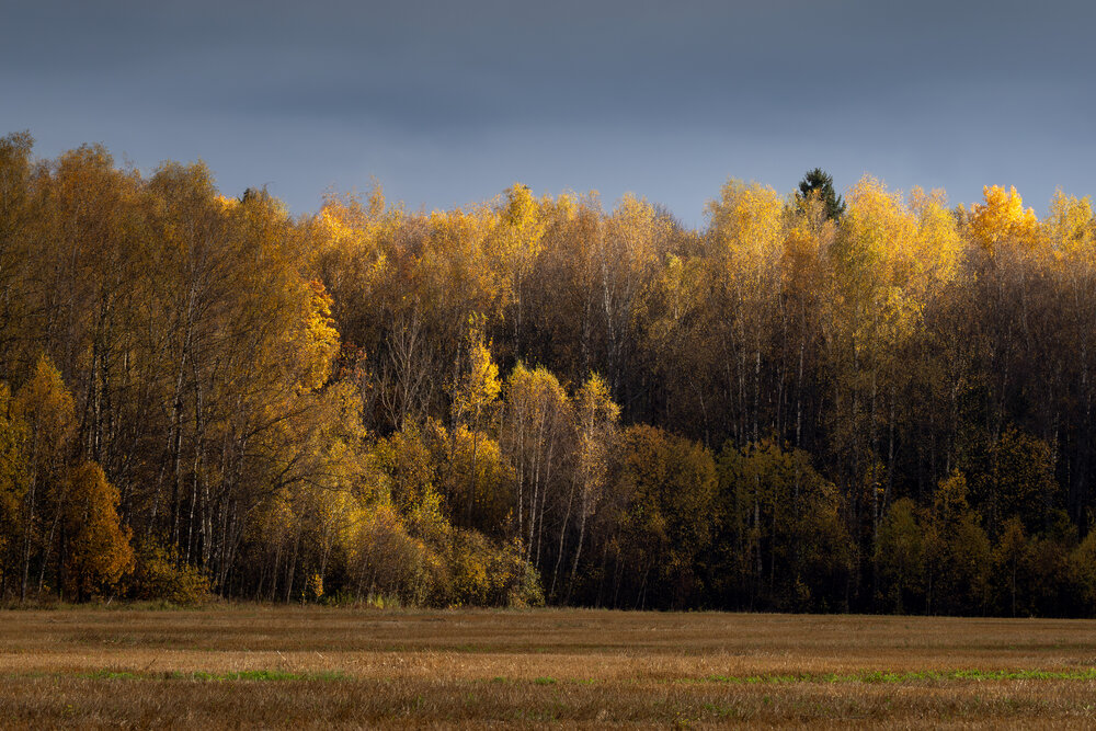Photograph by Мозжухин Максим