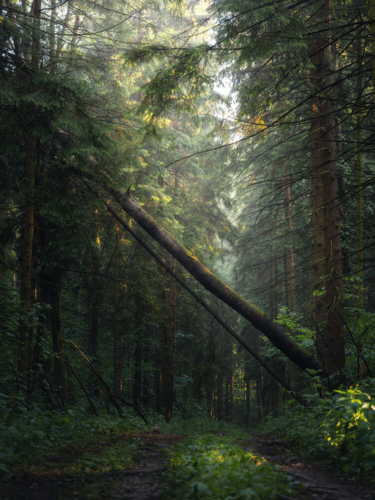 Photograph by Мозжухин Максим