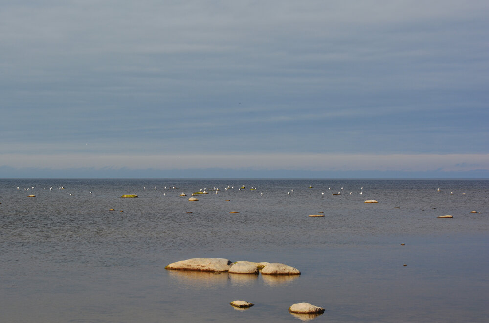 Photograph by Елена Курочкина