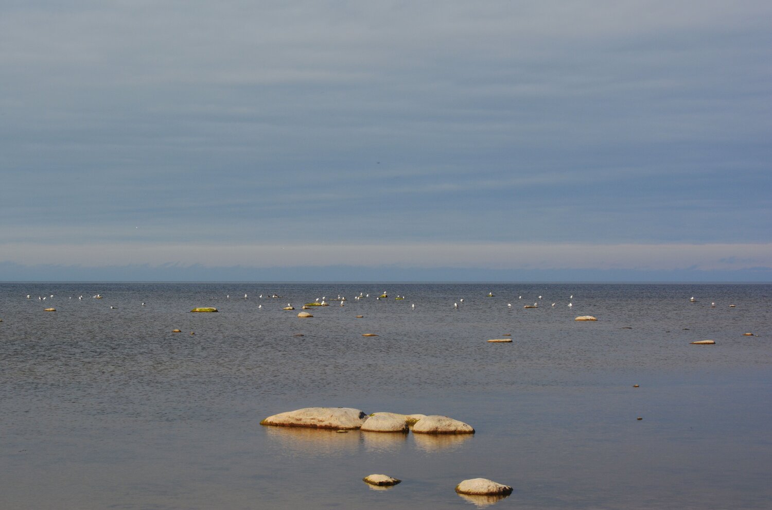 Photo #13895265