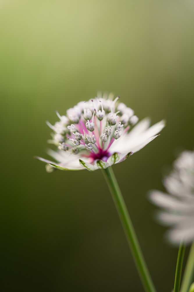 Photograph by Наталия Котович