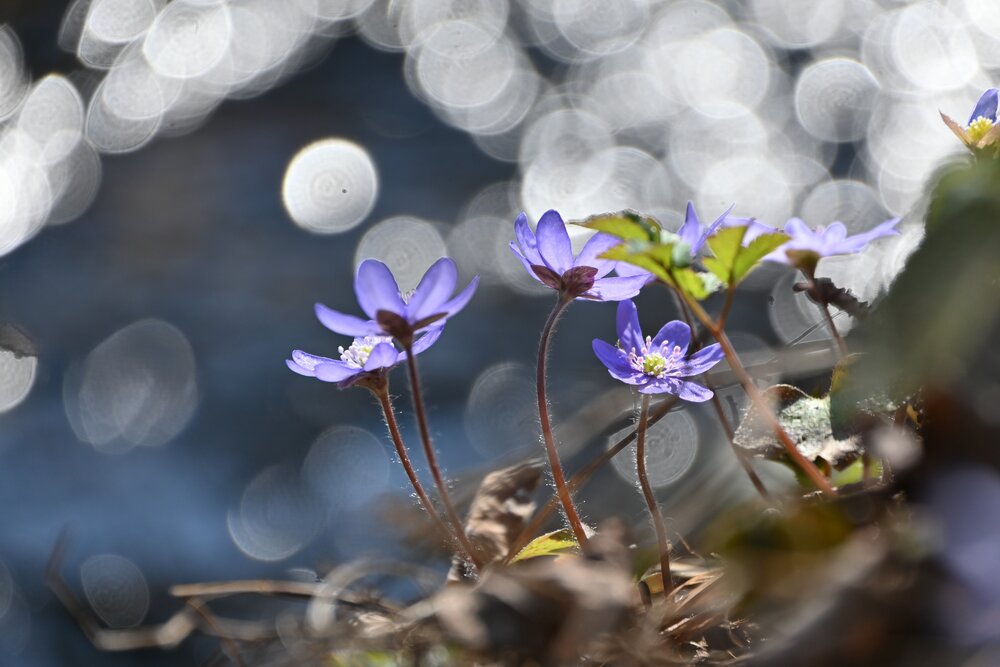 Photograph by IRINA FILIPPOVA