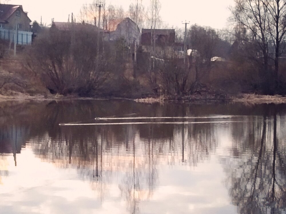 Photo #13895345