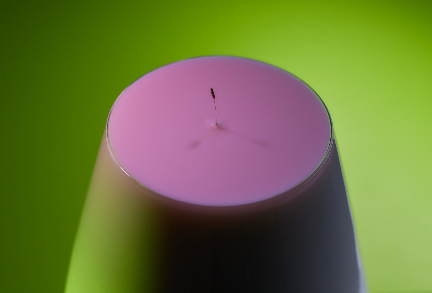 Photo #13895422