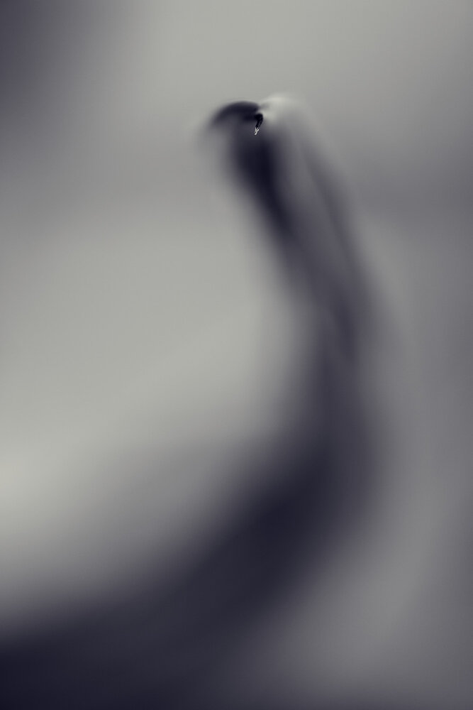 Photograph by Prometej