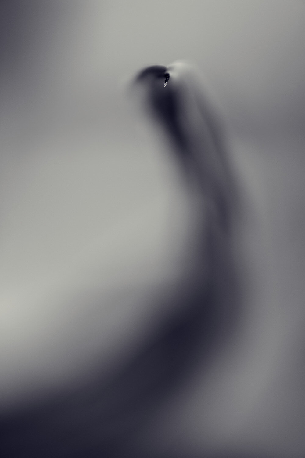 Photo #13895425
