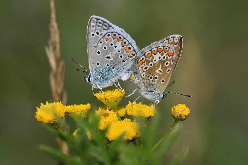 Photograph by IRINA FILIPPOVA