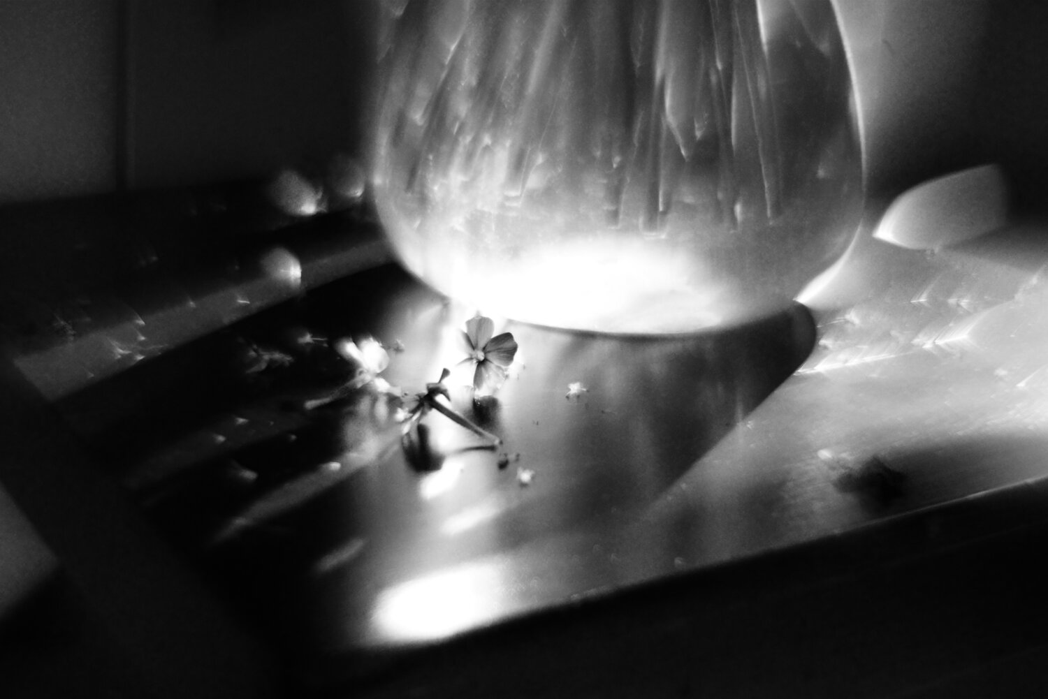 Photo #13895467