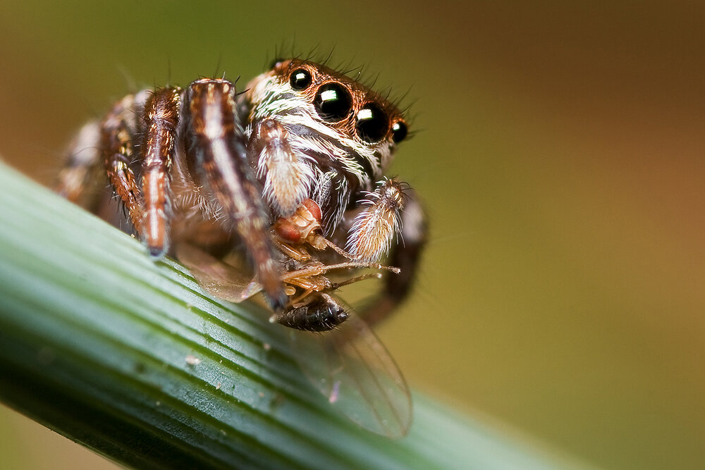 Photograph by Kostov Borislav