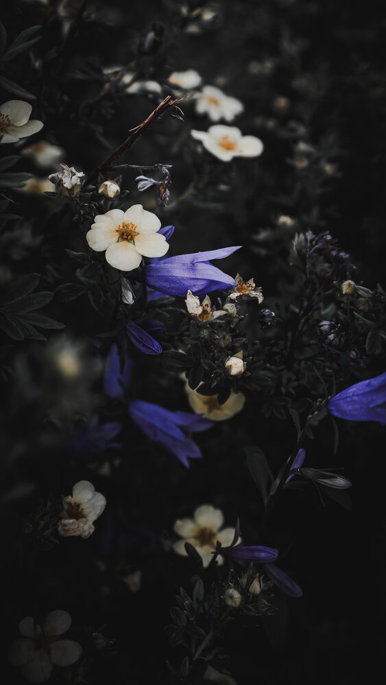 Photograph by Евгений Конов