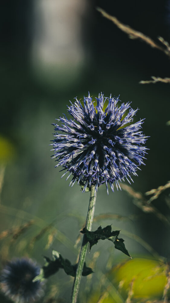 Photograph by Евгений Конов