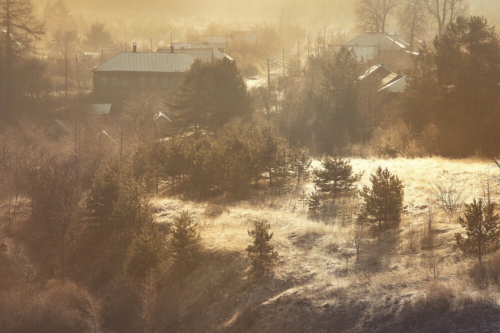 Photo #13895623