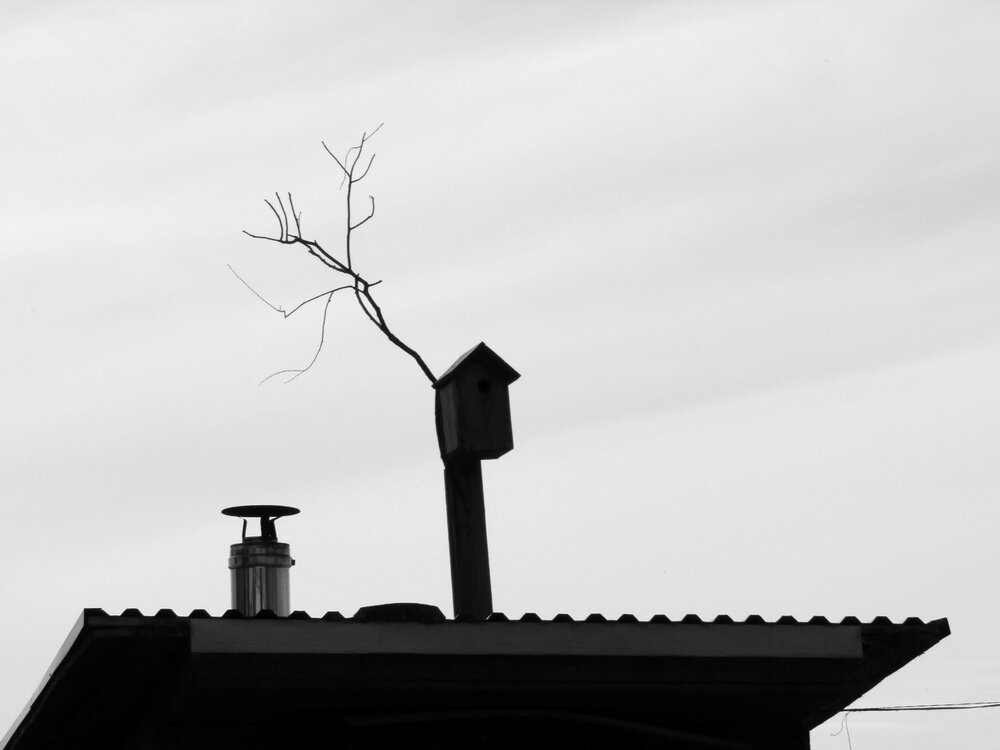 Photograph by ЕЛЕНА Тутынина