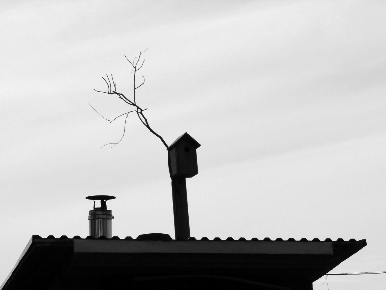 Photo #13895644
