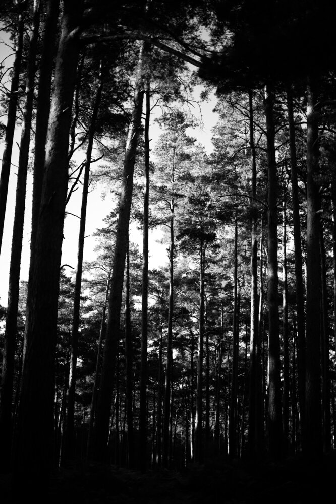 Photograph by Evgeniia Zorina