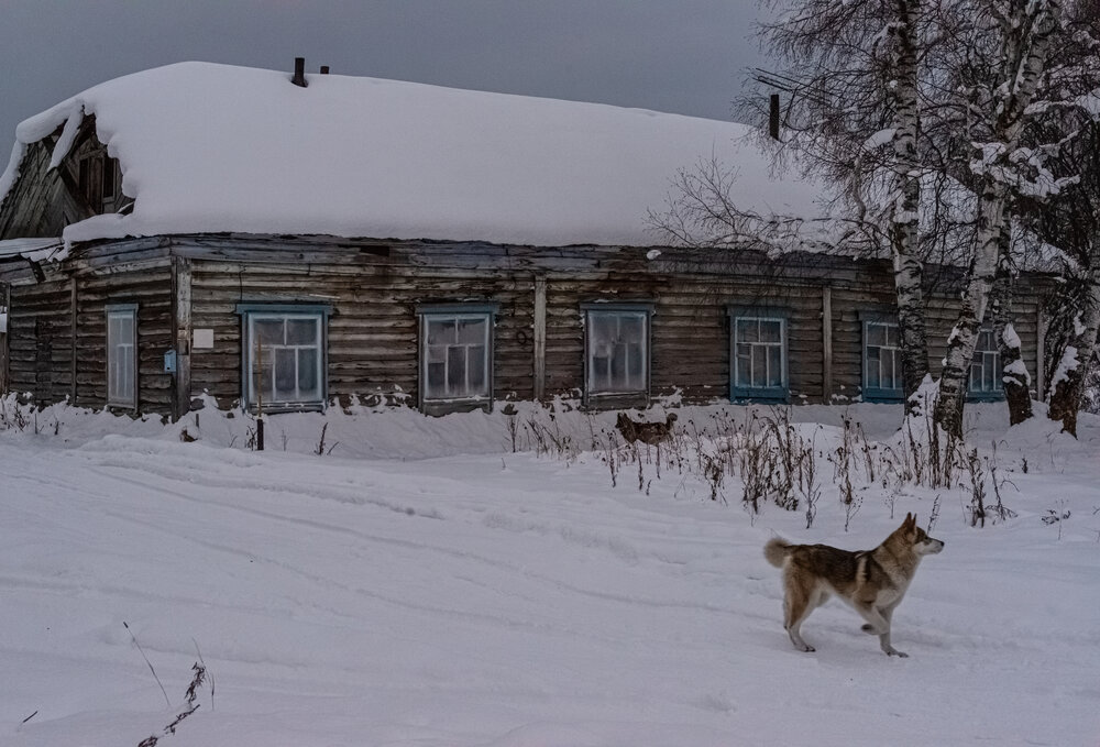 Photograph by Владимир