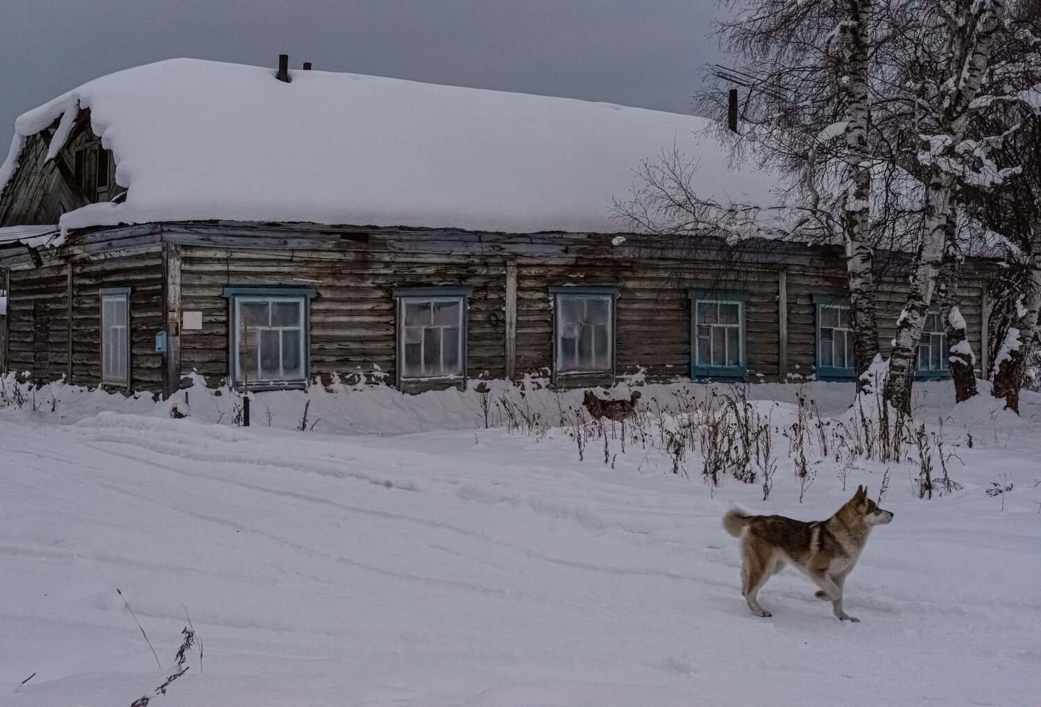 Photo #13895670