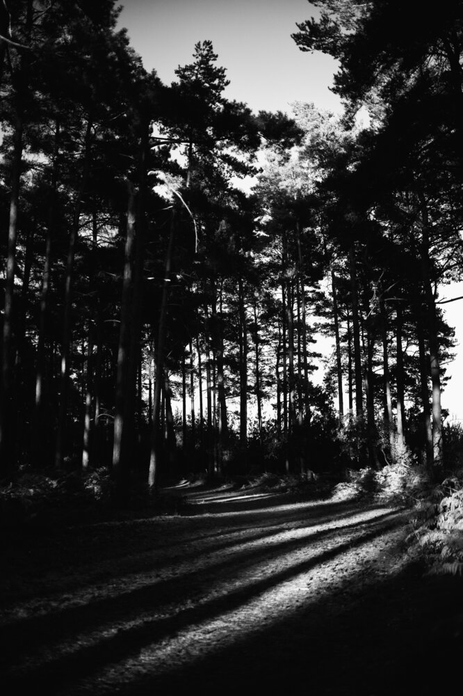 Photograph by Evgeniia Zorina