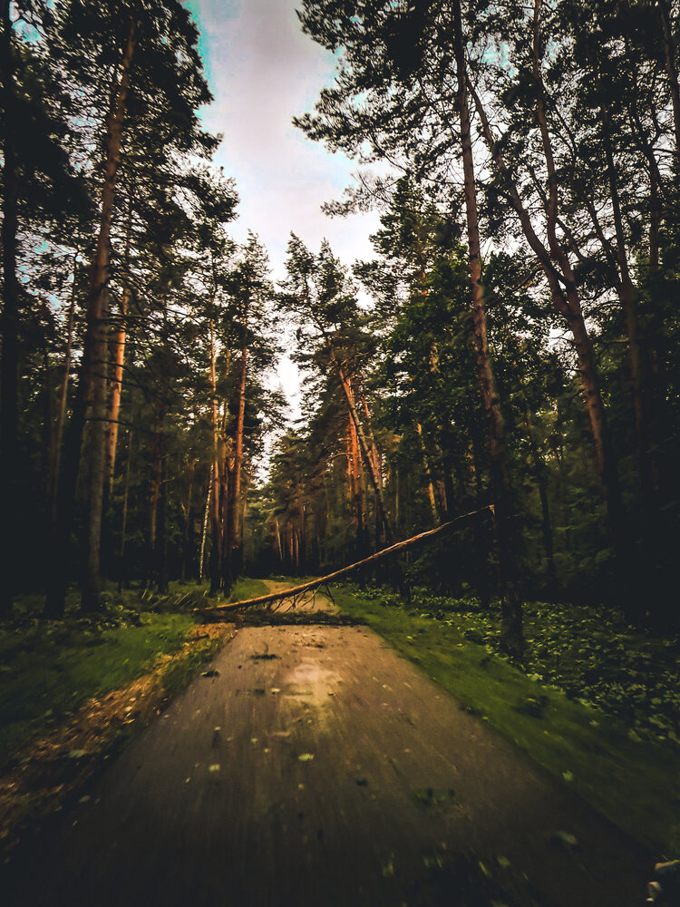 Photograph by Екатерина Народицкая