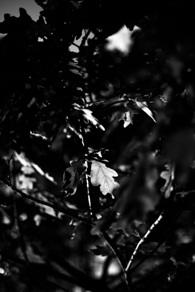 Photograph by Evgeniia Zorina